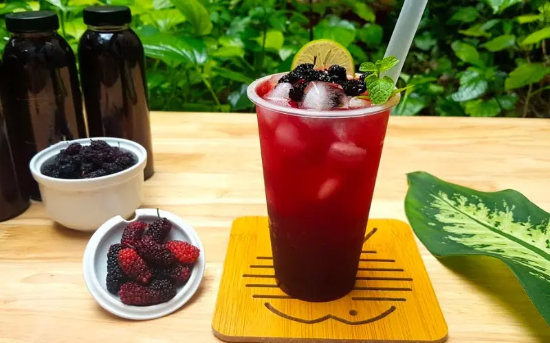 Hình ảnh Trà dâu tằm