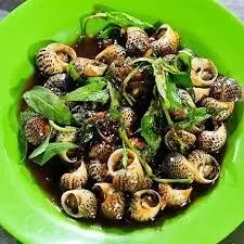 Hình ảnh Ốc bông sốt tiêu đen