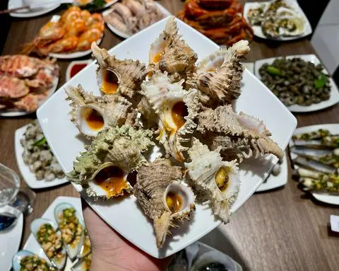 Hình ảnh Ốc gai