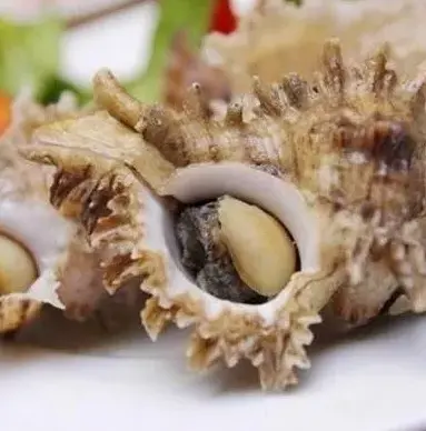 Hình ảnh Ốc gai nướng mọi