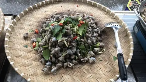 Hình ảnh Gai hấp