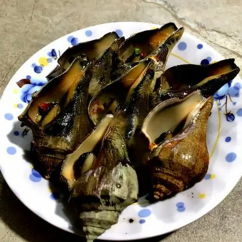 Hình ảnh Ốc mỏ vịt