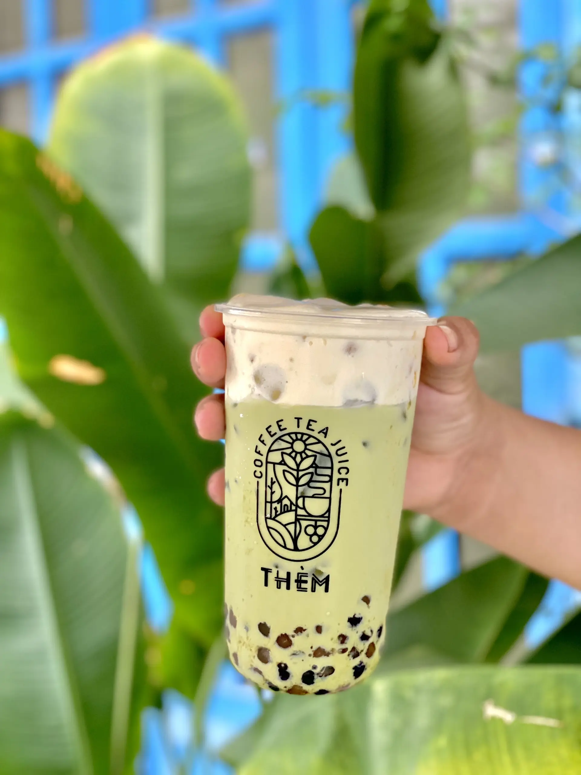 Hình ảnh Trà Sữa Thái Xanh