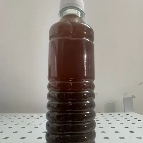 Hình ảnh Sâm bí đao