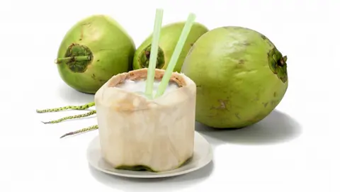 Hình ảnh Dừa