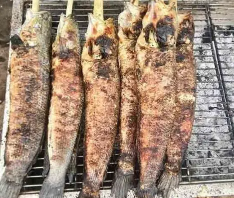 Hình ảnh Cá lóc nướng mía lớn