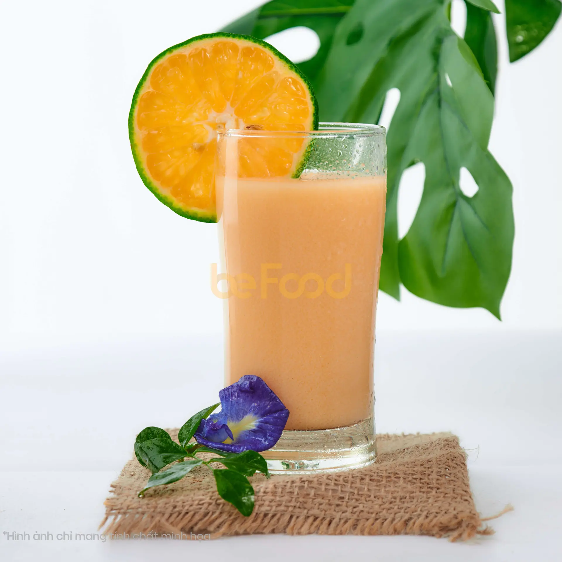 Hình ảnh Cam sữa - ly 700ml