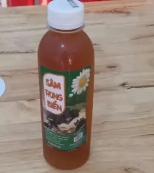 Hình ảnh Sâm rong biển