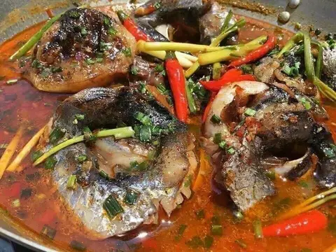 Hình ảnh Mắt cá ngừ đại dương