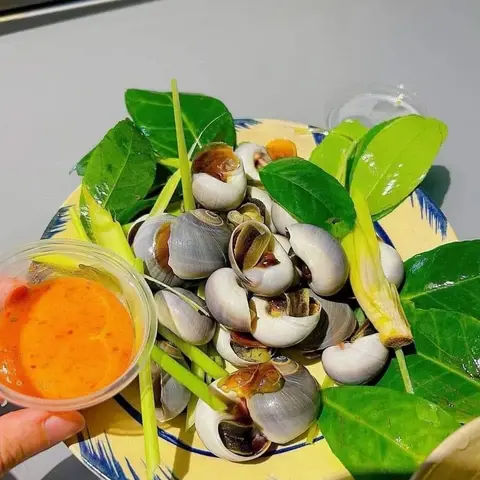 Hình ảnh Ốc mỡ hấp sả