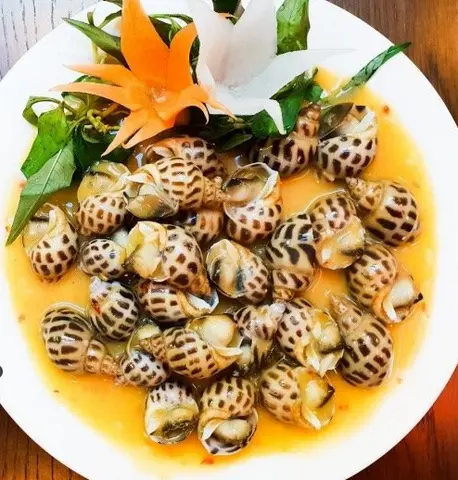 Hình ảnh Ốc hương