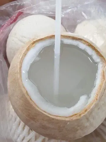 Hình ảnh Quả Dừa Xiêm Bến Tre