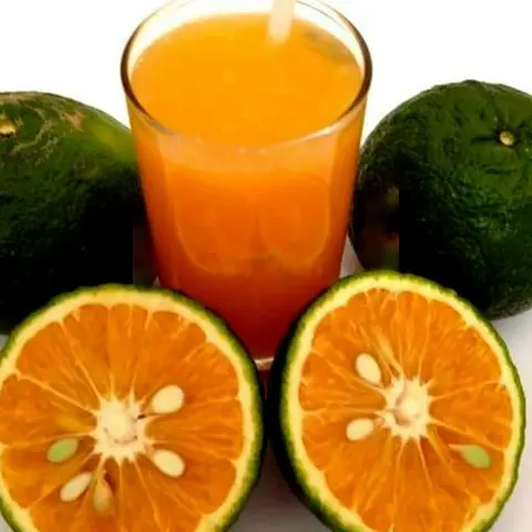 Hình ảnh Cam vắt hạt chia