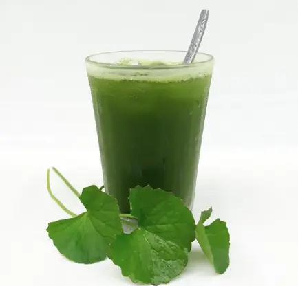 Hình ảnh Rau má nguyên chất