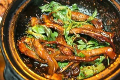 Hình ảnh Lưỡi vịt sapo