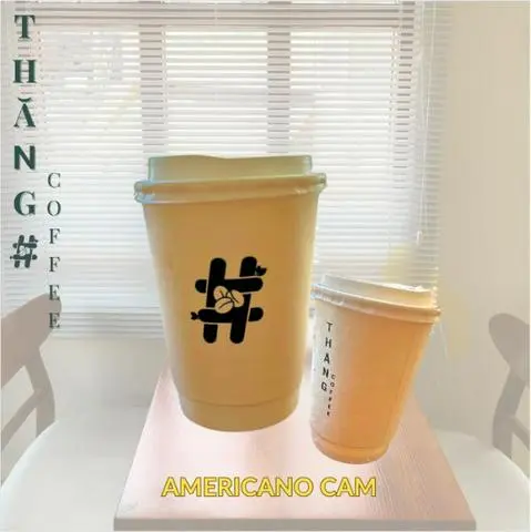 Hình ảnh Americano cam