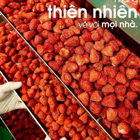 Hình ảnh Dâu tây sấy thăng hoa