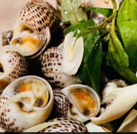 Hình ảnh Ốc bông hấp sả