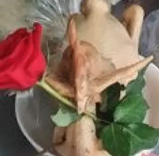Hình ảnh Gà cúng chéo cánh