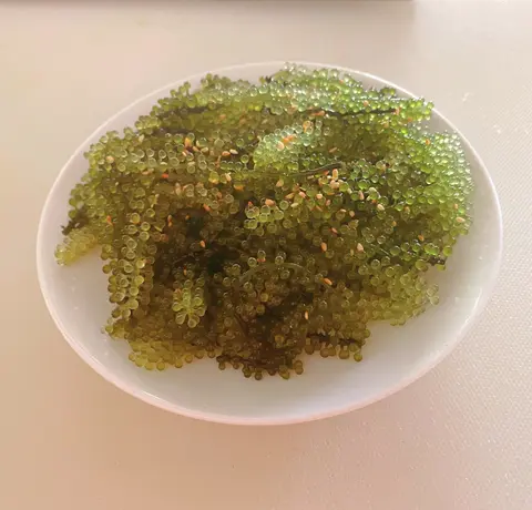 Hình ảnh Rong nho