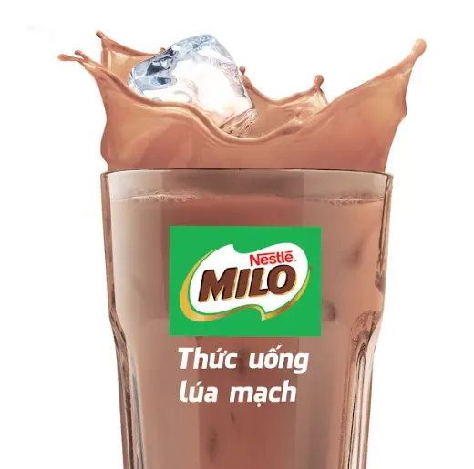 Hình ảnh Milo TƯƠI