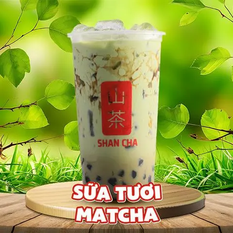 Hình ảnh Sữa tươi matcha Trân Châu Đường Đen (M)