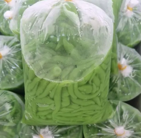 Hình ảnh Chè bánh lọt lá dứa chuẩn miền Tây kèm đường thốt nốt