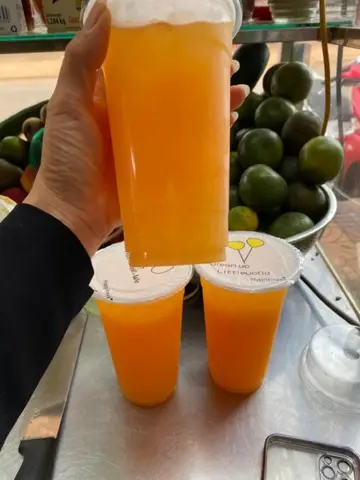 Hình ảnh Ép dưa lưới