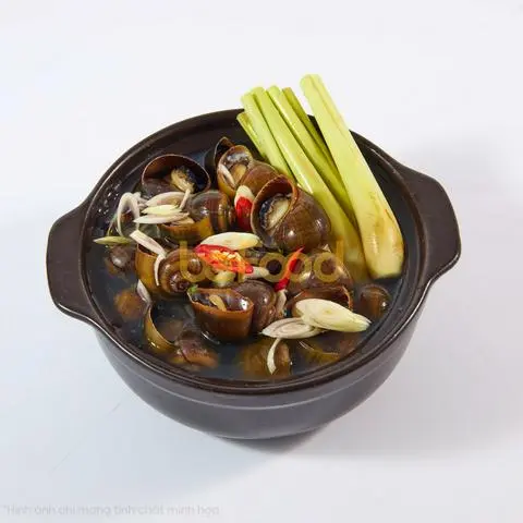 Hình ảnh Ốc to