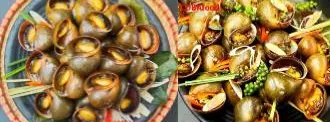 Hình ảnh Ốc Gác Bếp Cực Sạnh tròn vị hấp tiêu xanh Mua 1kg TẶNG ngay màn hấp thu sóng điện từ trị giá 100k