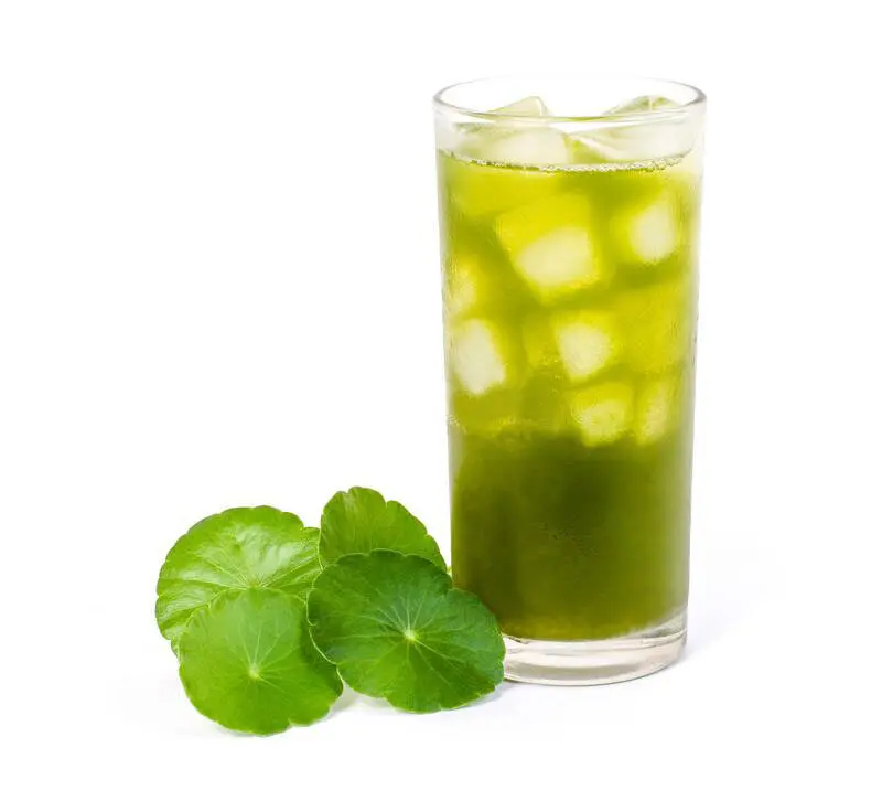 Hình ảnh Rau má nguyên chất 