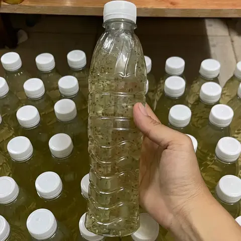 Hình ảnh Nha đam hạt chia