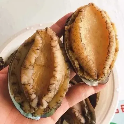 Hình ảnh Combo 2 bào ngư nướng mọi
