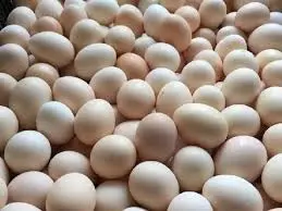 Hình ảnh Trứng gà trần
