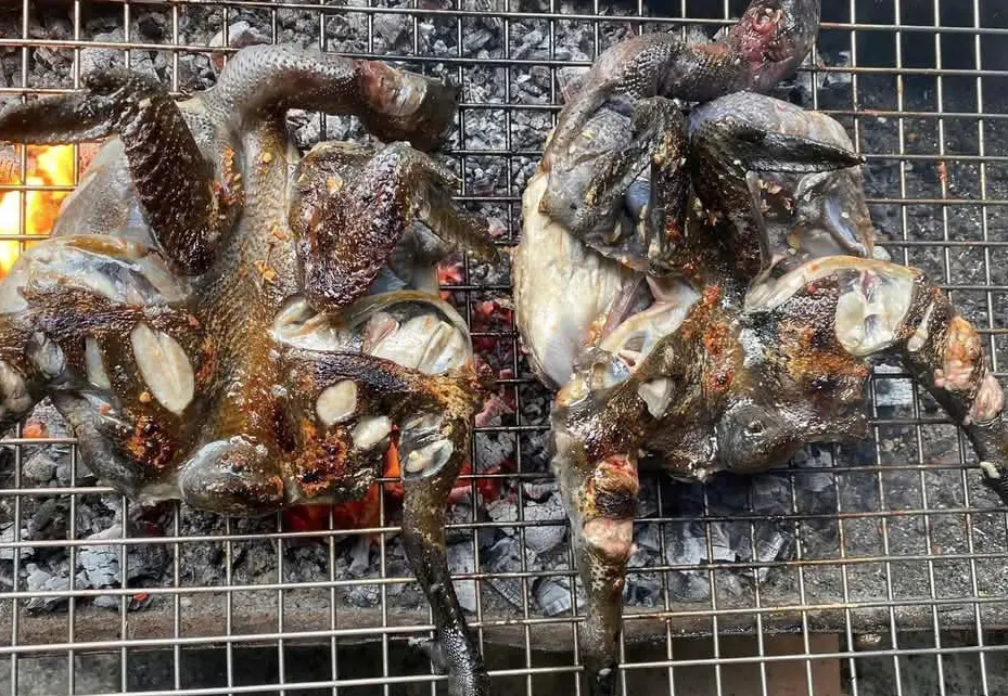 Hình ảnh Gà ác nướng muối ớt