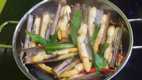 Hình ảnh Ốc móng tay hấp sả