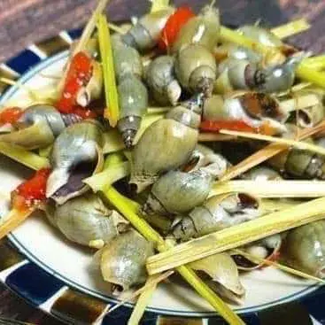 Hình ảnh Ốc cà na hấp sả