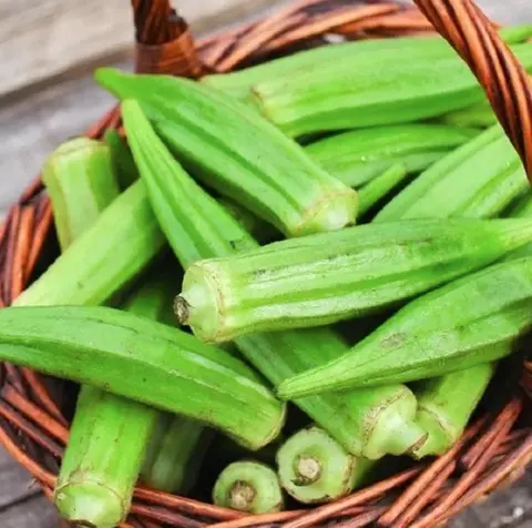 Hình ảnh Đậu bắp