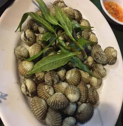 Hình ảnh Sò huyết