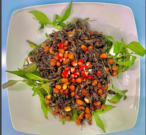 Hình ảnh Dế chiên mắm