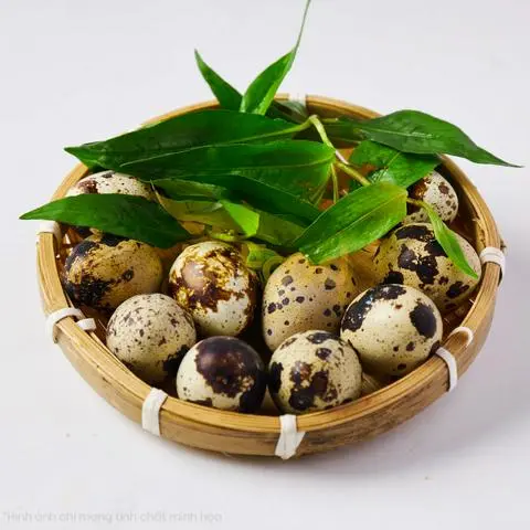 Hình ảnh Cút lộn luộc- 10 quả