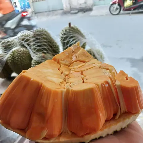 Hình ảnh Mít cắt miếng - 1kg