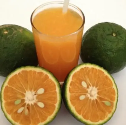 Hình ảnh Cam vắt
