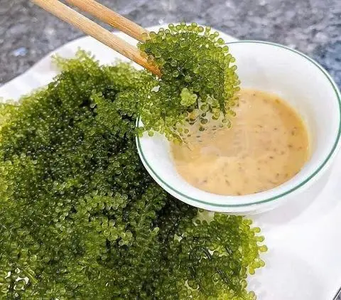 Hình ảnh Rong nho chấm sốt mè rang