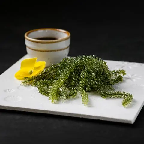 Hình ảnh Tảo biển umibudo
