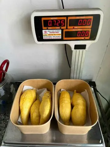 Hình ảnh Sầu riêng ri 6 Cái Mơn cơm vàng hạt lép