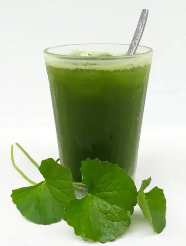 Hình ảnh Rau má sữa
