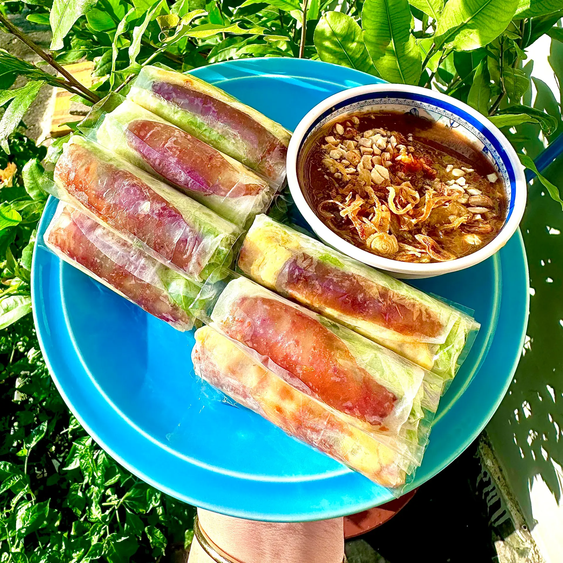 Hình ảnh Bò bía