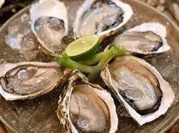 Hình ảnh Hàu đại dương mù tạc