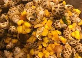 Hình ảnh Ốc hương bơ bắp - phô mai - trứng muối